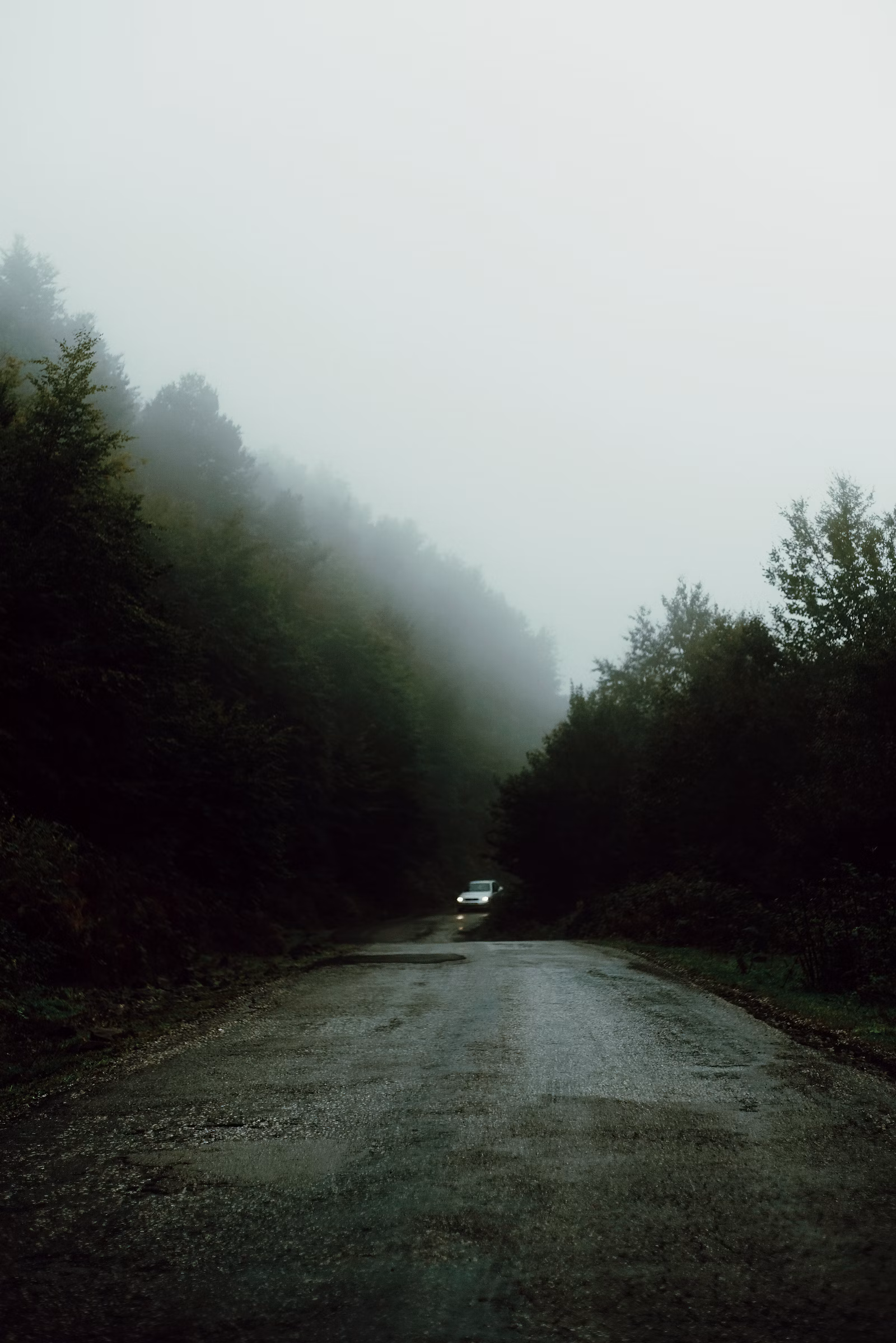 Photo by - Yusuf Evli https://unsplash.com/@yusufevli